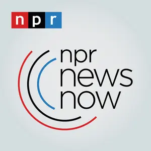NPR 24 