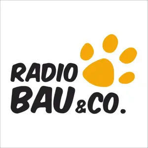 Radio Monte Carlo - Radio Bau